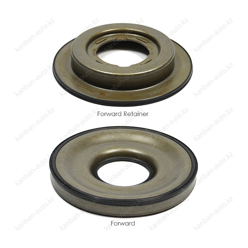 КОМПЛЕКТ ПОРШНЕЙ TPSK049A NAK